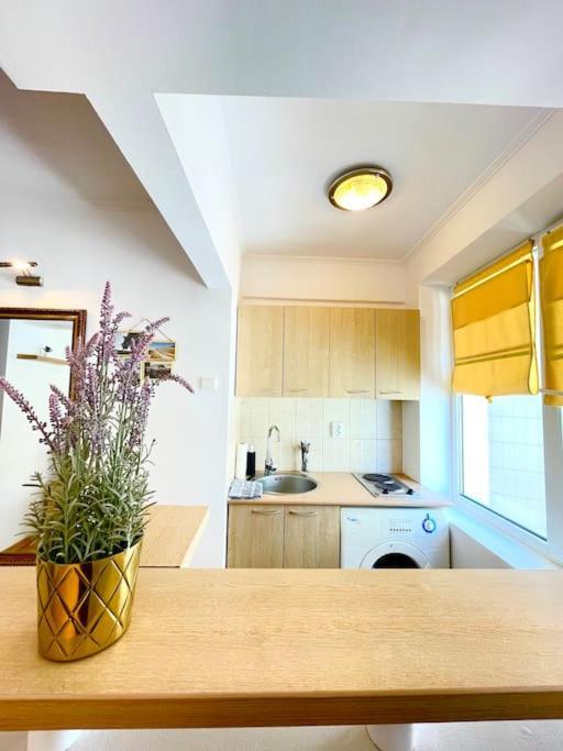Boutique Apartment In The Bucharest City Center ภายนอก รูปภาพ